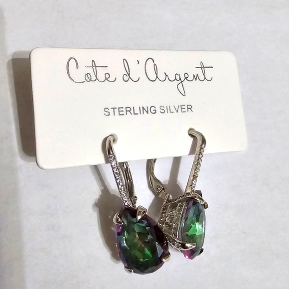 Cote d'Argent Earrings - Picture 1 of 6